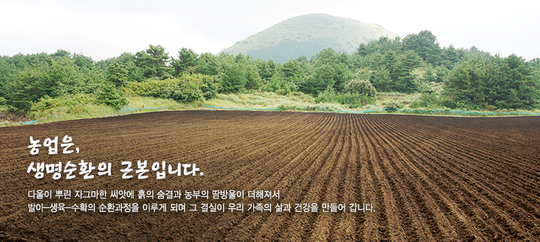  ȯ ٺԴϴ ٿ Բ  츮  ̸ó ڿ ڿ Һڰ Բ  ູ  ޲ٰ ֽϴ.