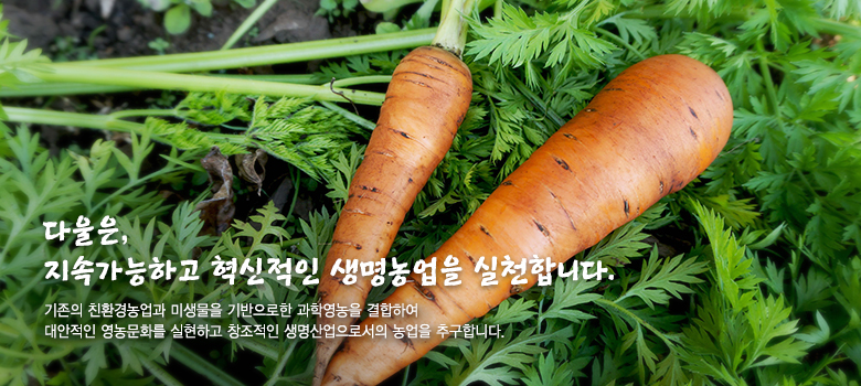  ȯ ٺԴϴ ٿ Բ  츮  ̸ó ڿ ڿ Һڰ Բ  ູ  ޲ٰ ֽϴ.